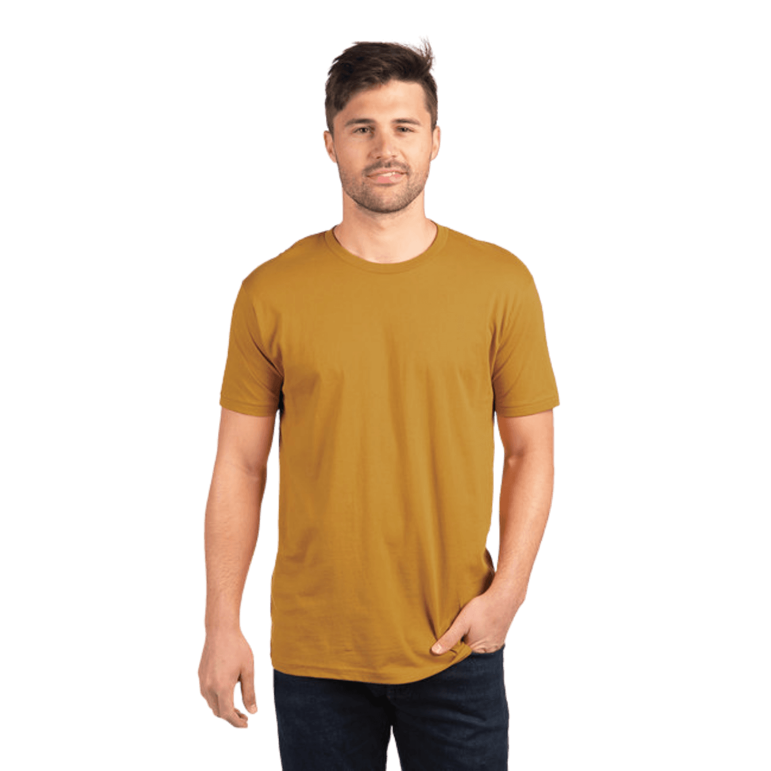 Next Level Apparel Unisex Cotton T-Shirt (3600)